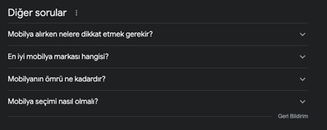 google-serp-diger-sorular.jpg