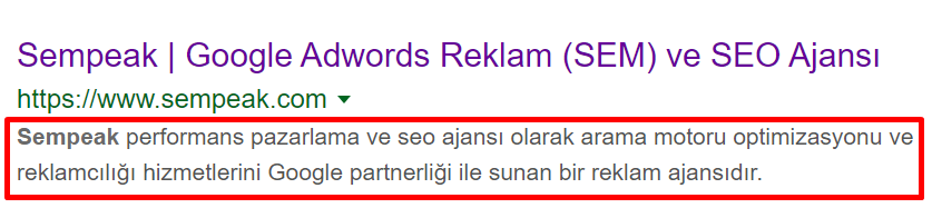 meta-description.png