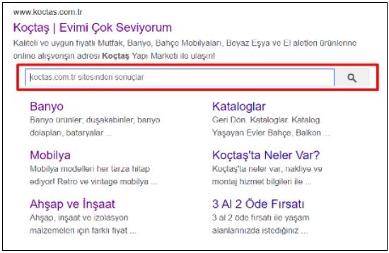 web-site---arama-kutusu-yapilandirilmis-veri.png