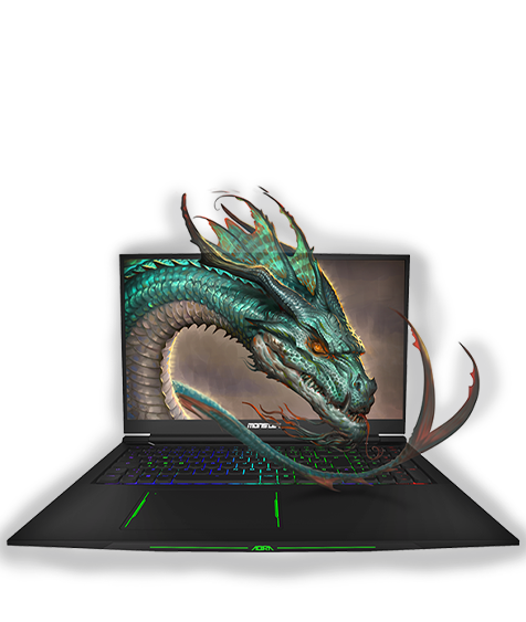 Monster Notebook Trueview Başarı Hikayesi